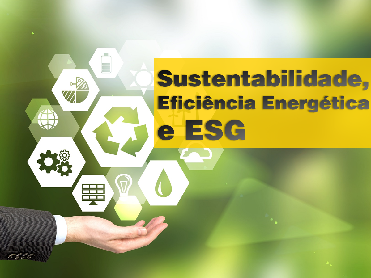 Sustentabilidade, Eficiência Energética e ESG: Soluções Inovadoras para Enfrentar os Desafios da Crise Energética